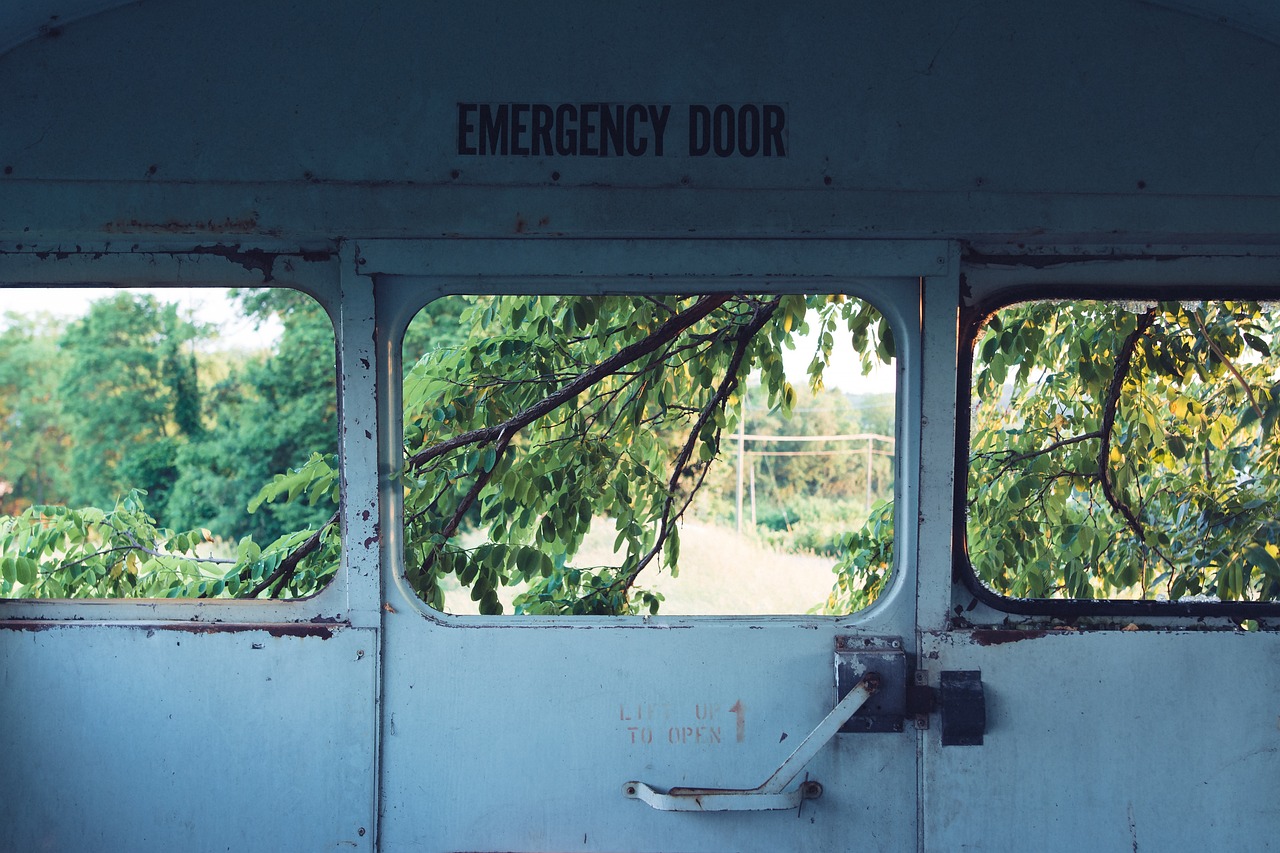 Emergency Response and Mental Health Services